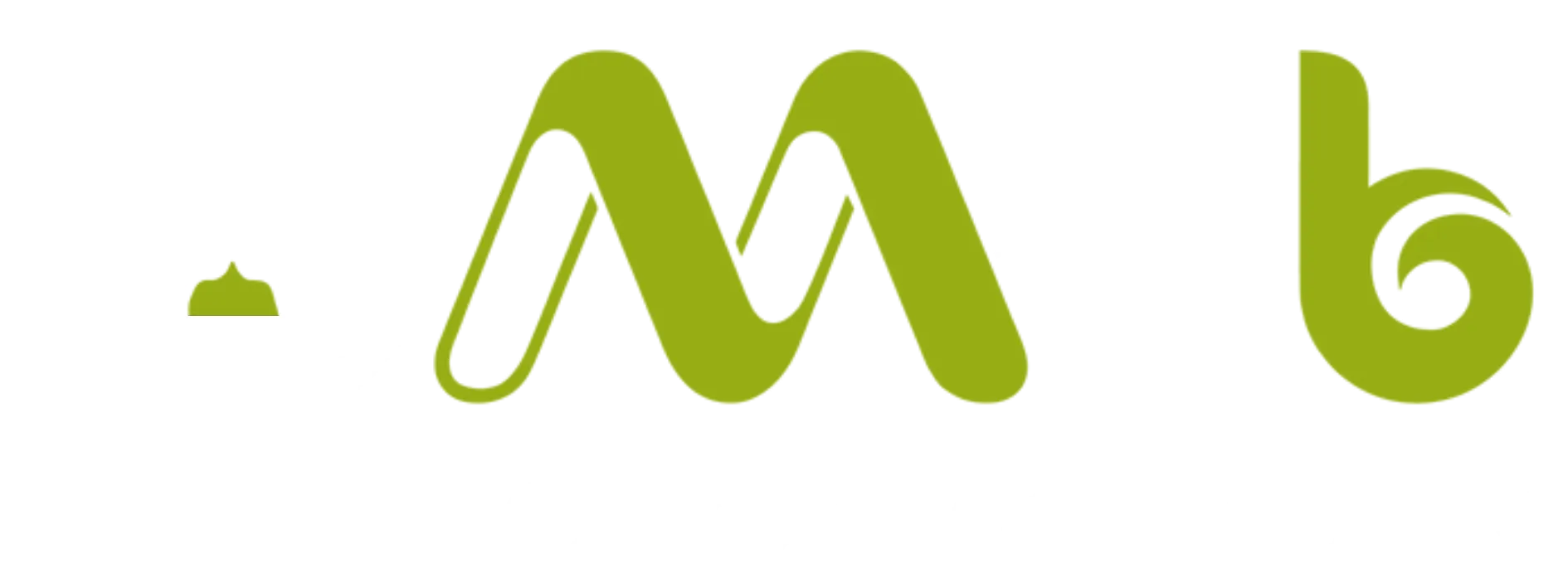 Mnbsoft Logo