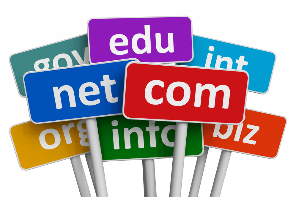 domain name research services