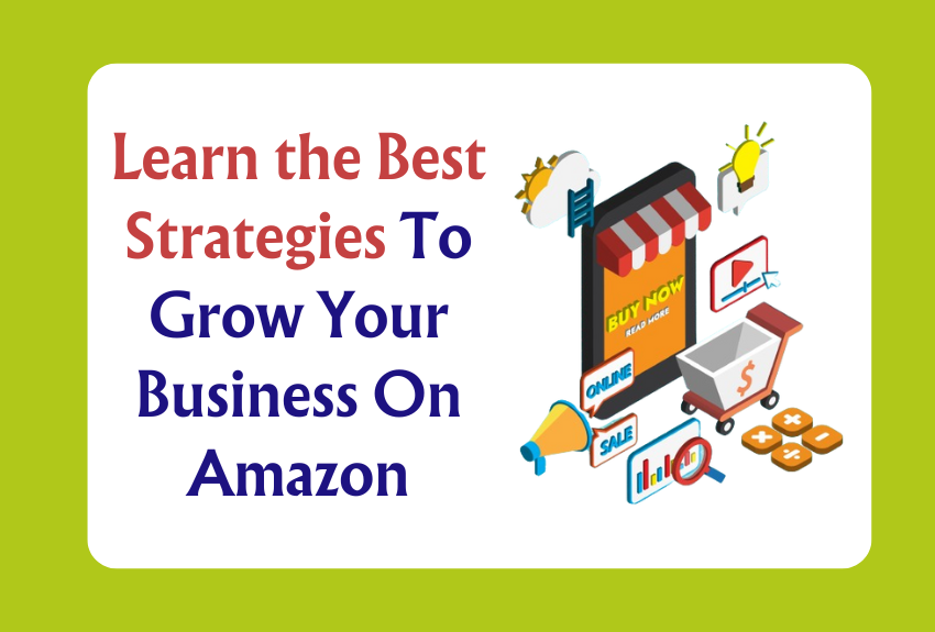 Learn the Best Strategies To Grow Your Business On Amazon